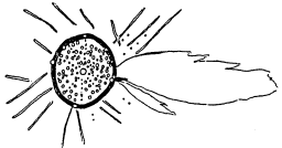 Suggested comet pictograph